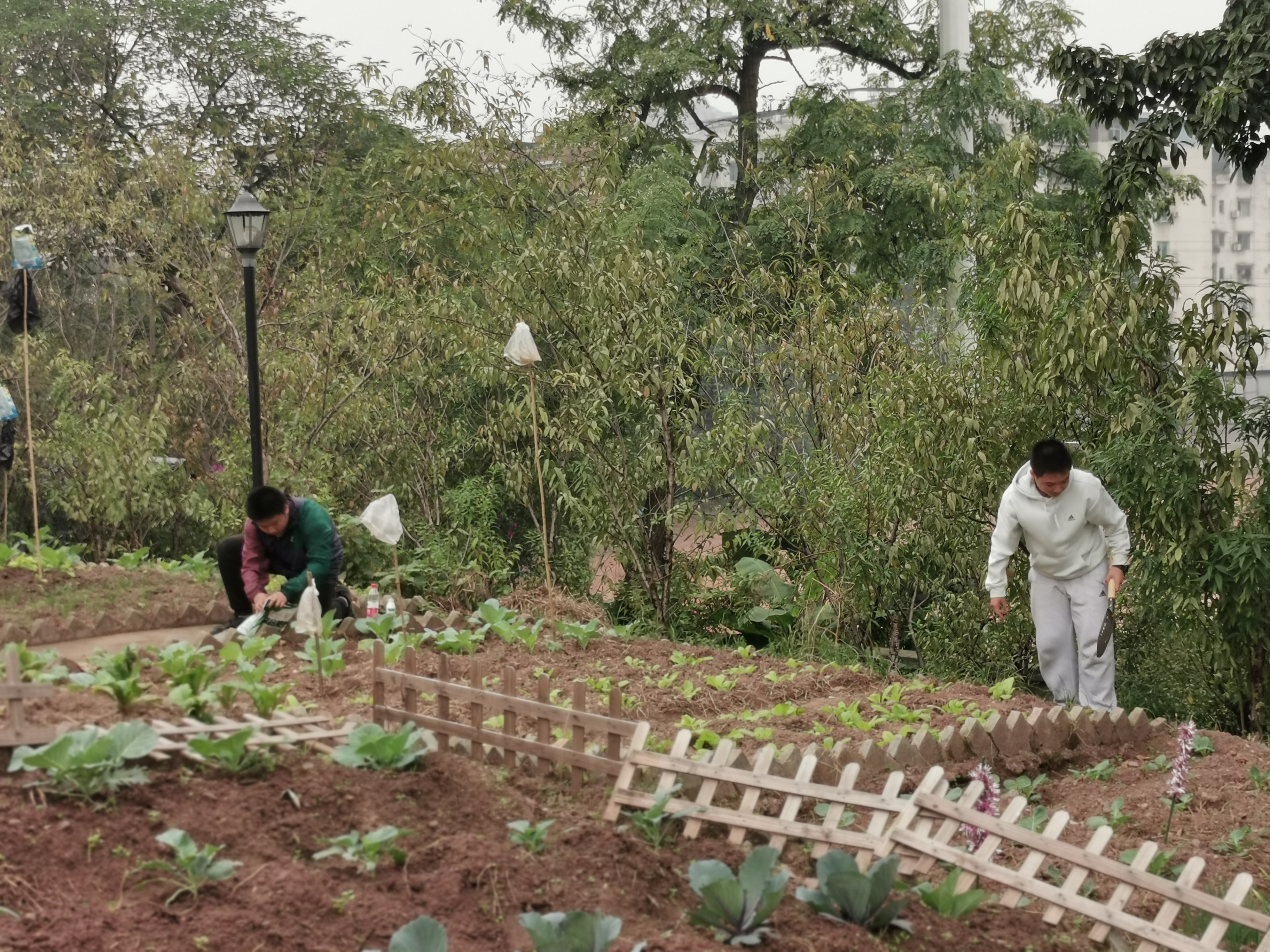 PWRL_1730860667838088557.jpg PWRL_1730860667838088557.jpg